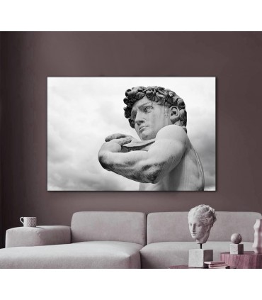 Cuadro decorativo digital DAVID de MICHELANGELO